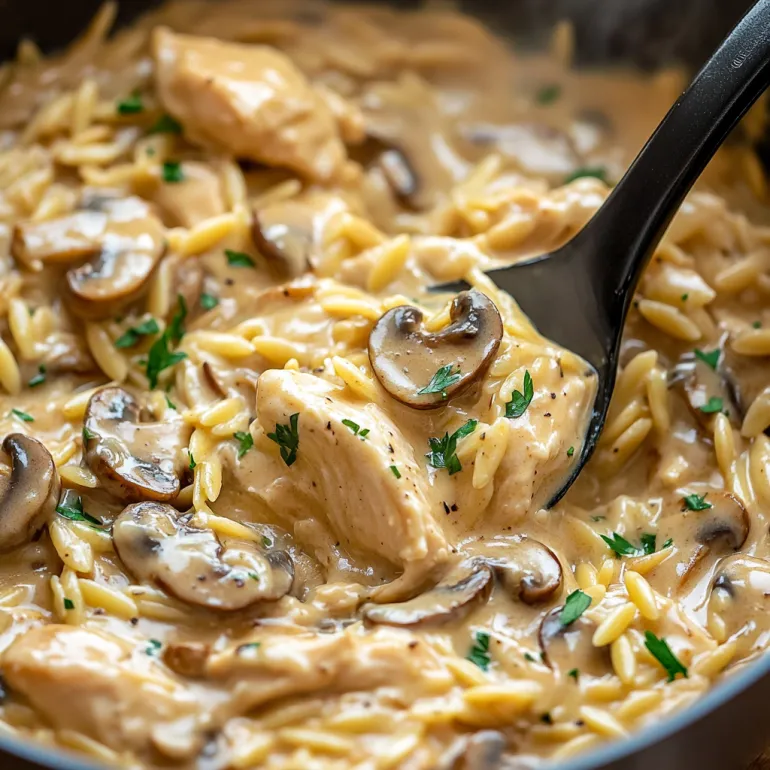 A bowl of chicken Marsala Orzo.
