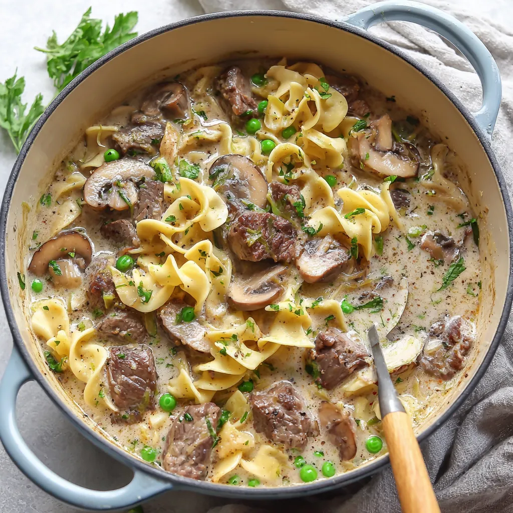 A bowl of beef stroganoff soup with noodles and mushrooms.